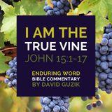 I Am the True Vine: Bible Commentary on John 15:1-17
