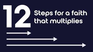 SoulConnect - Twelve Steps for a Faith That Multiplies