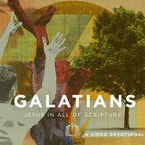 Galatians: A New Spiritual Family | Video Devotional