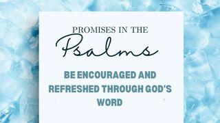 Promises in the Psalms