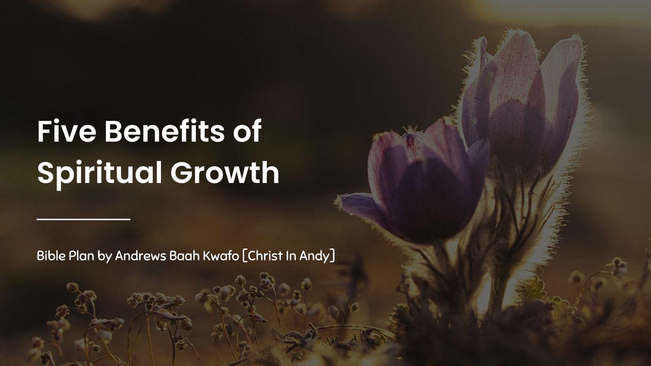 Five Benefits of Spiritual Growth