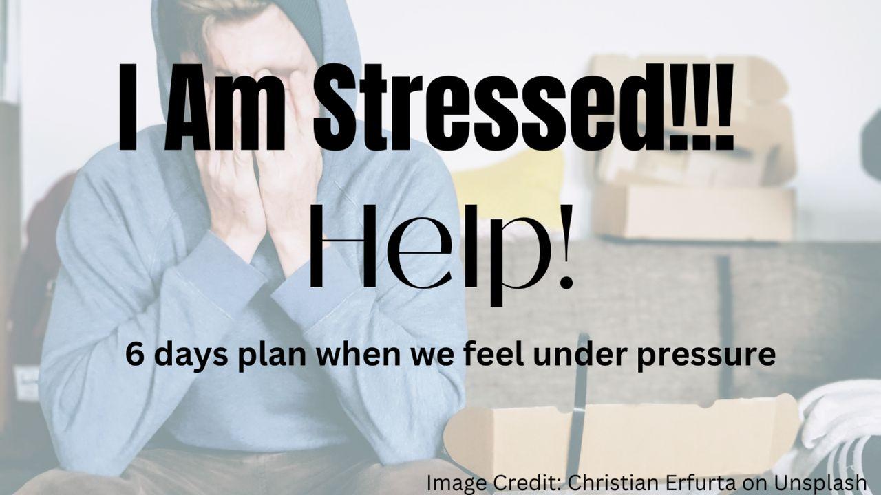 I Am Stressed!!! Help!