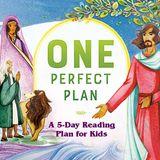 One Perfect Plan: The Bible's Big Story in Tiny Poems