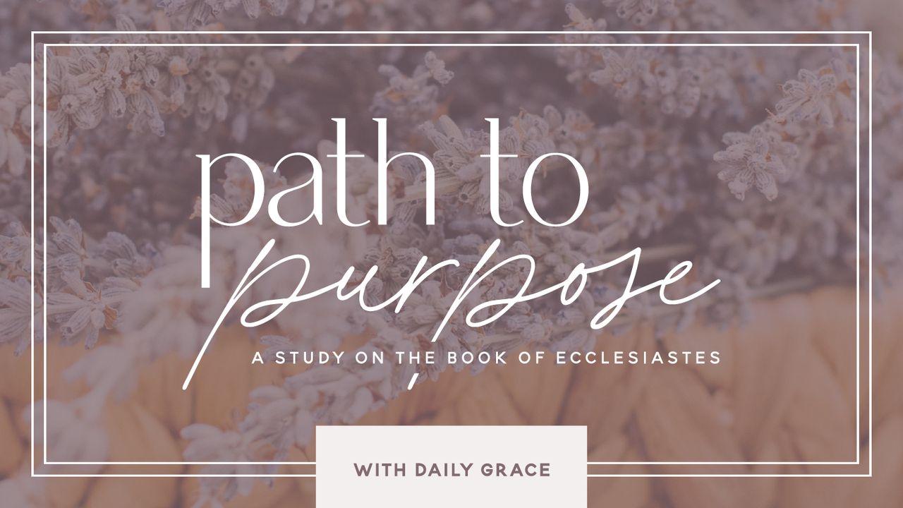 Path to Purpose: Ecclesiastes