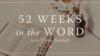52 Weeks in the Word