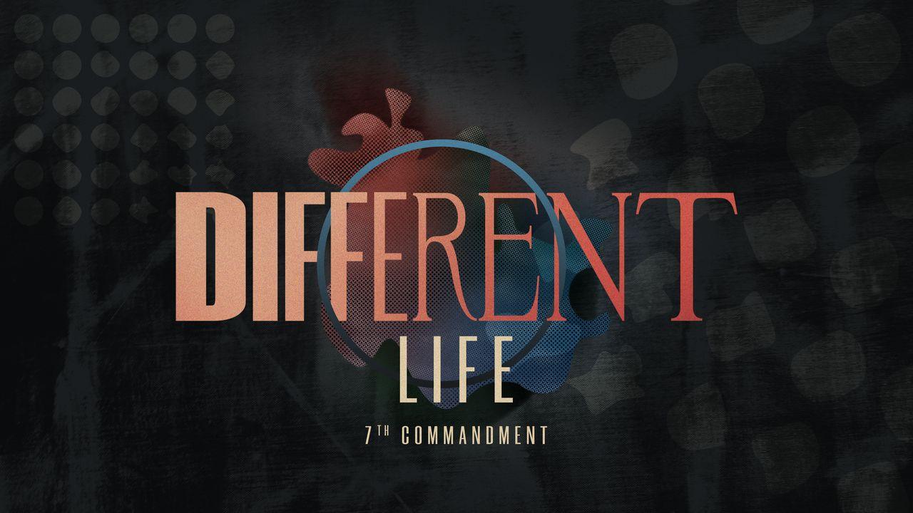 Different Life: 7th Commandment