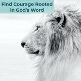 One Week Study of Philippians Using the Courage for Life Study Bible