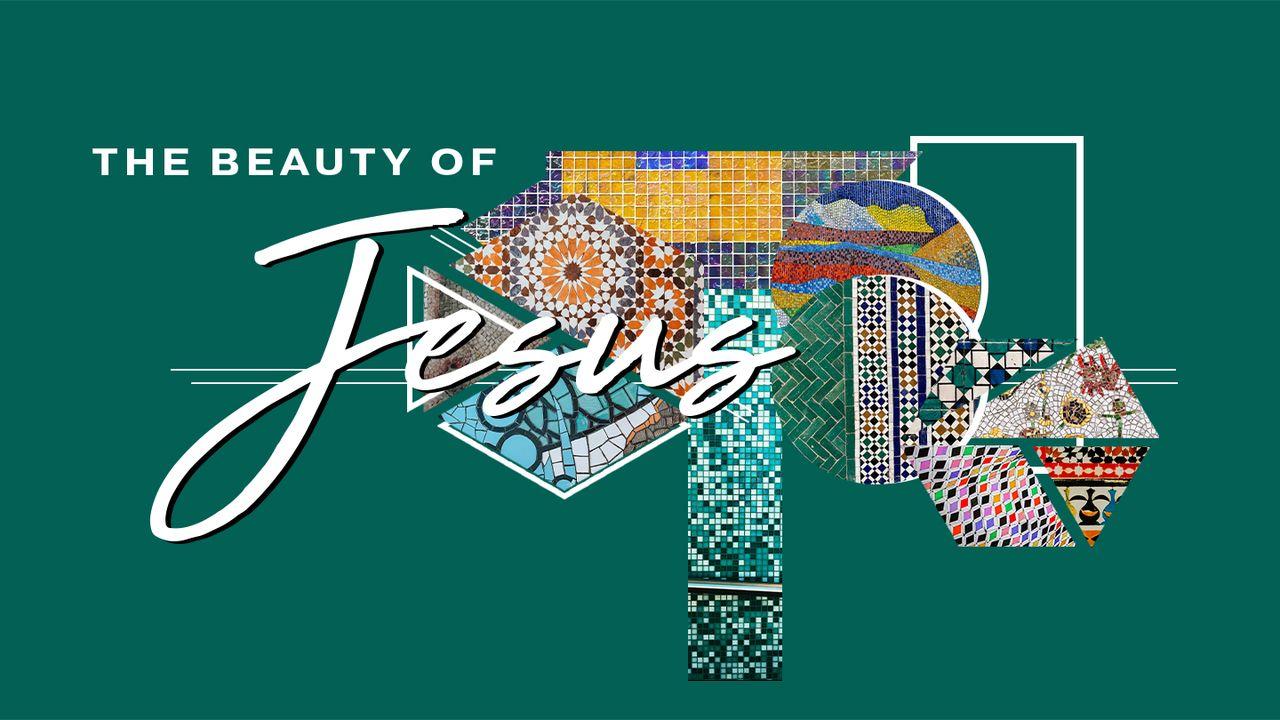 The Beauty of Jesus | Remedy for a Discouraged Soul