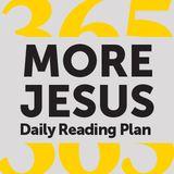 More Jesus Reading Plan 365