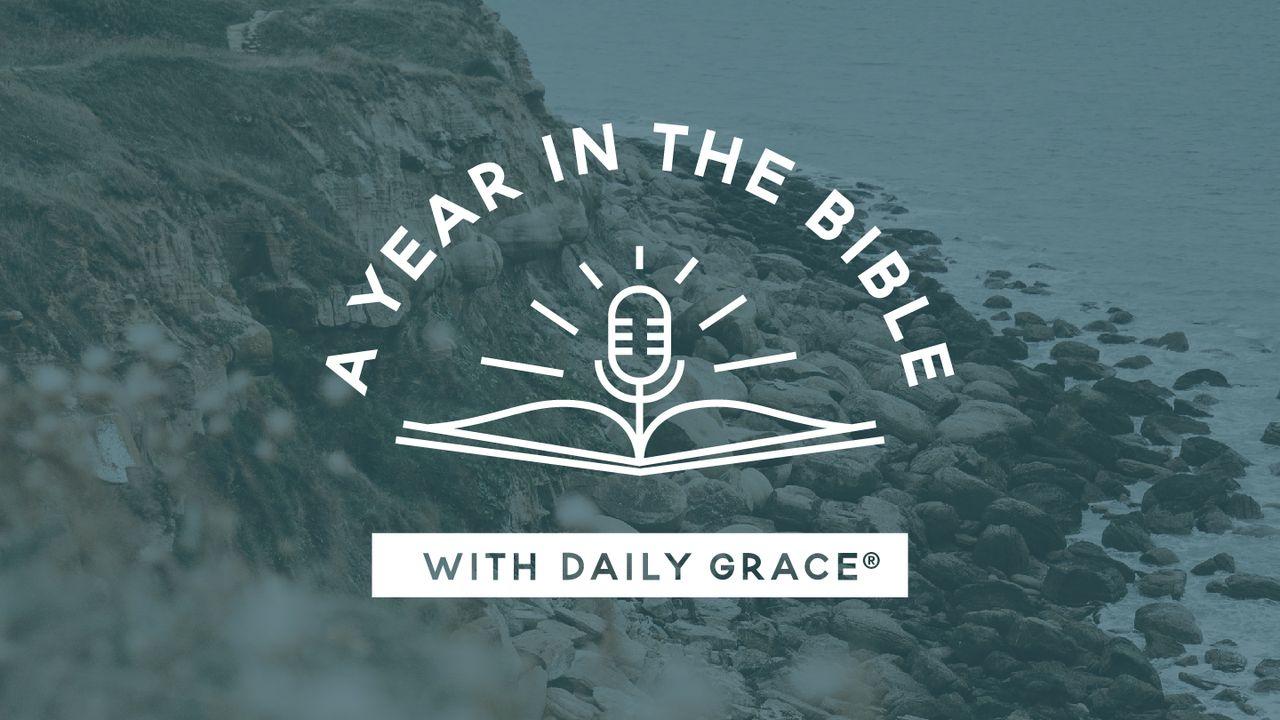Behold: A Year in the Bible With Daily Grace New Testament Plan