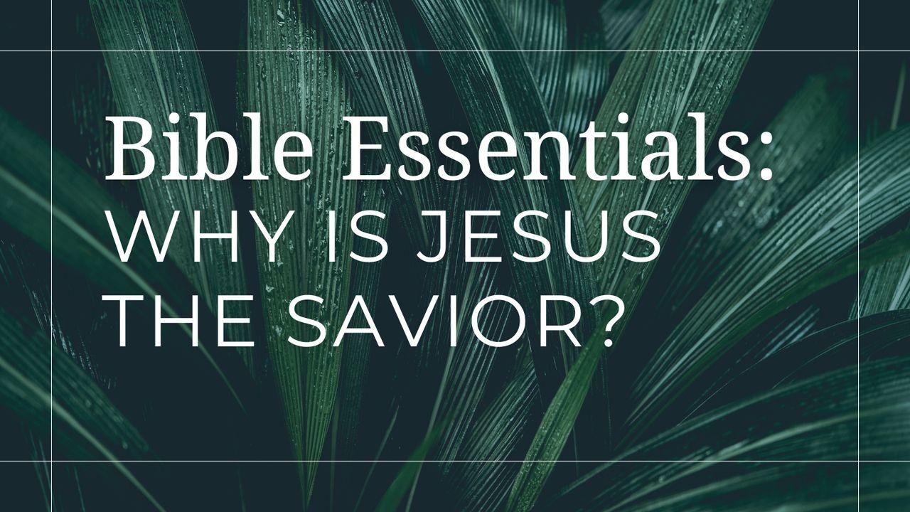 Why Is Jesus the Savior?