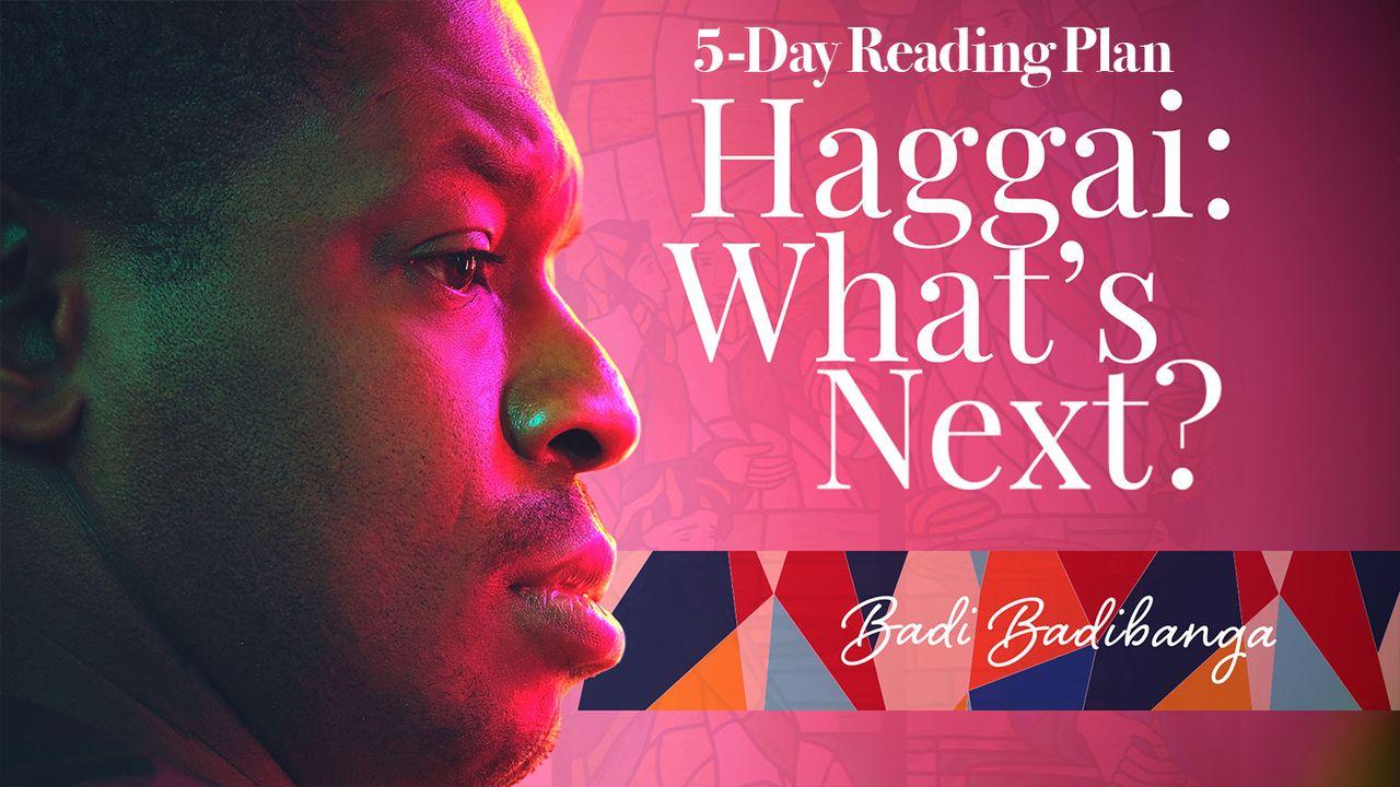 Haggai: What's Next?