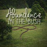 Abundance In The Bush - Country Devotions