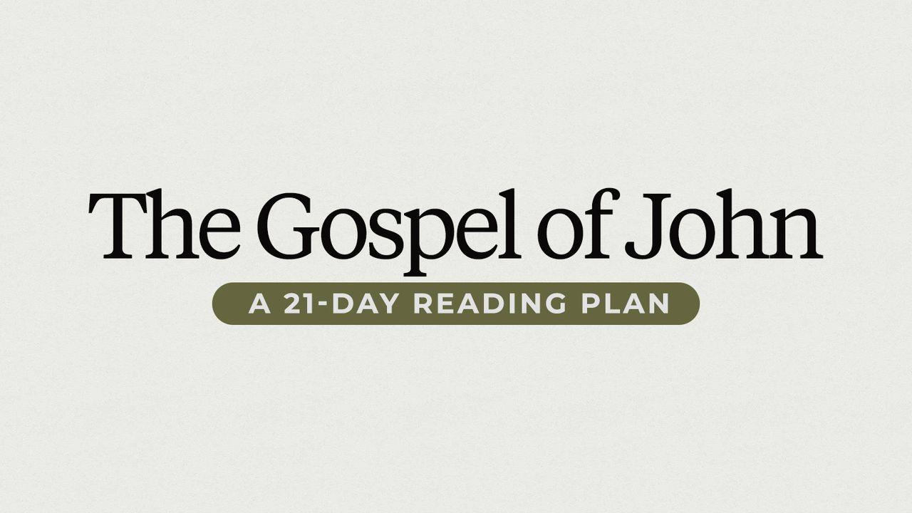 21 Days In The Gospel Of John With Levi Lusko