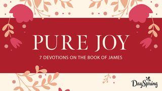 Pure Joy: 7 Devotions in the Book of James