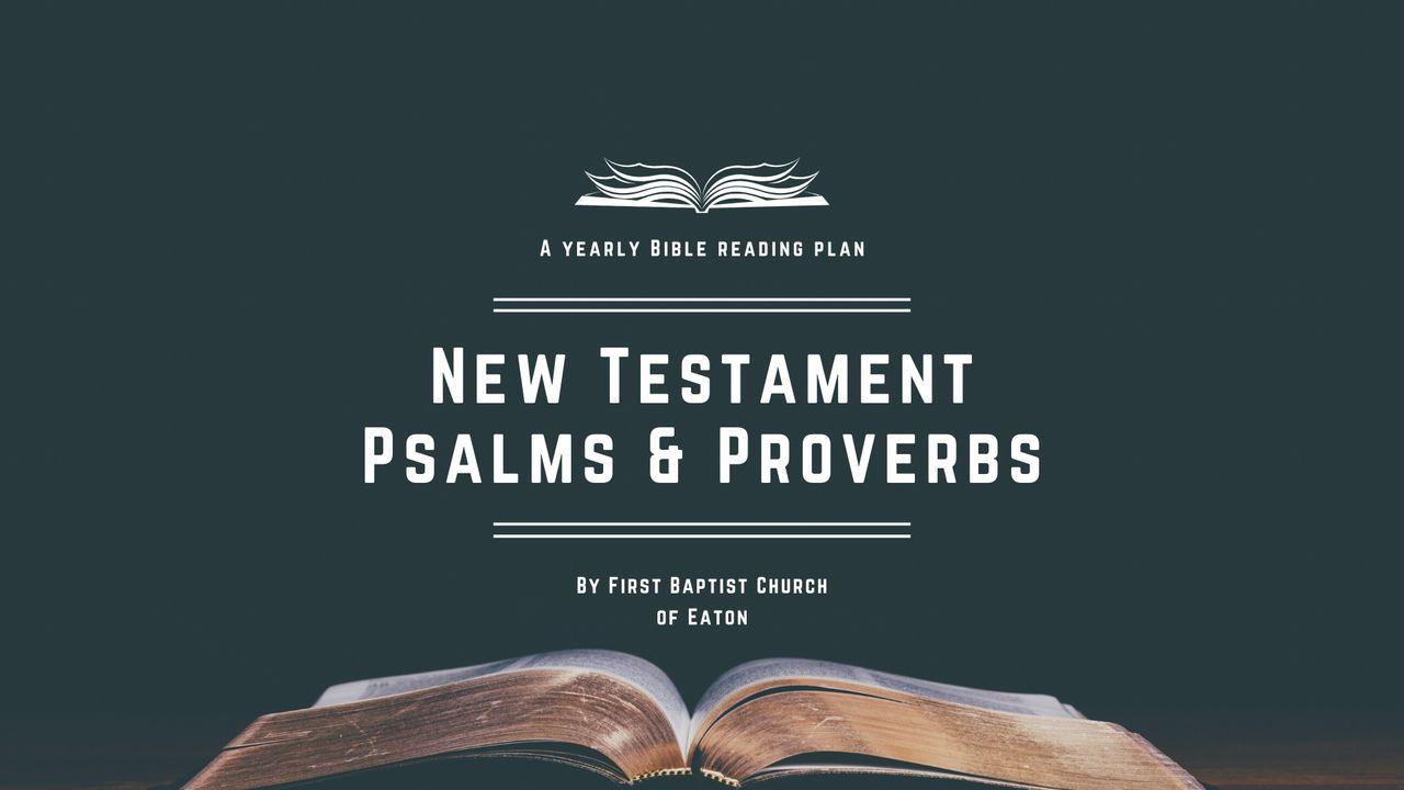 New Testament Psalms & Proverbs in a Year