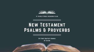 New Testament Psalms & Proverbs in a Year