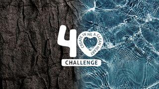 Create in Me a Clean Heart: The 40-Day Challenge (Psalms)