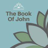 Het evangelie van Johannes | De 7 tekenen en de 7 "IK BEN" uitspraken van Jezus