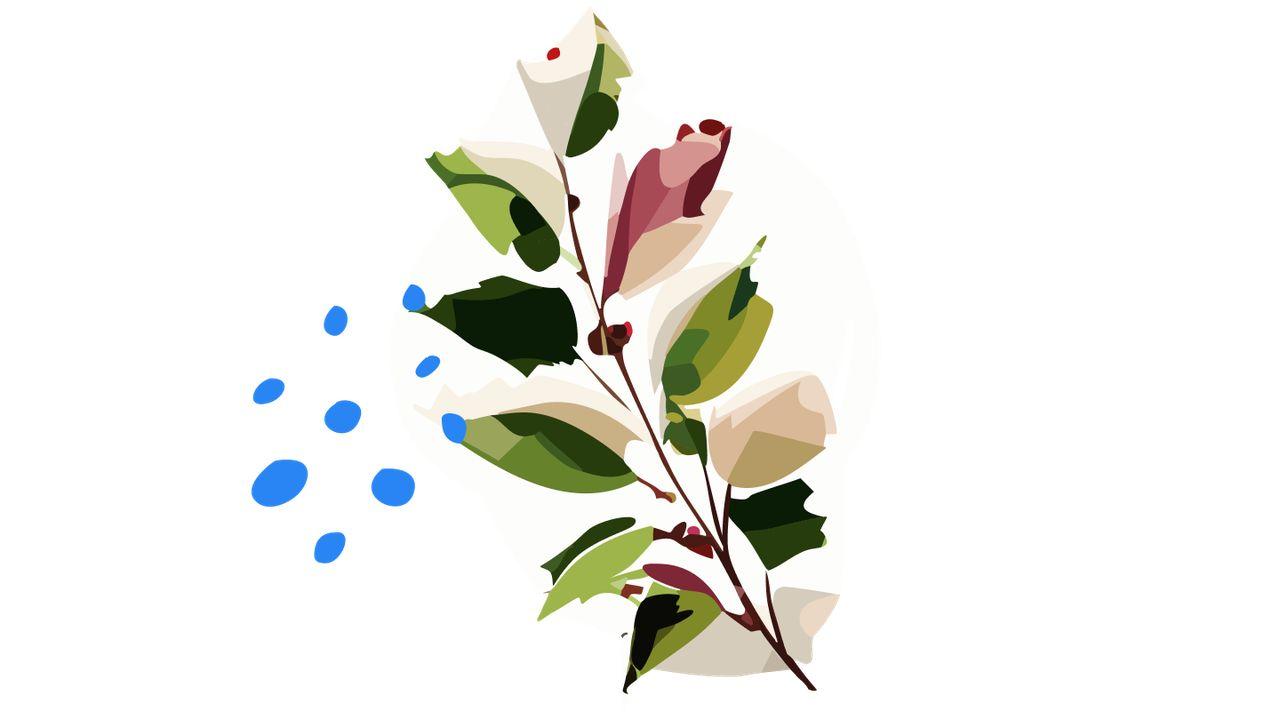 O Livro Dos Provérbios