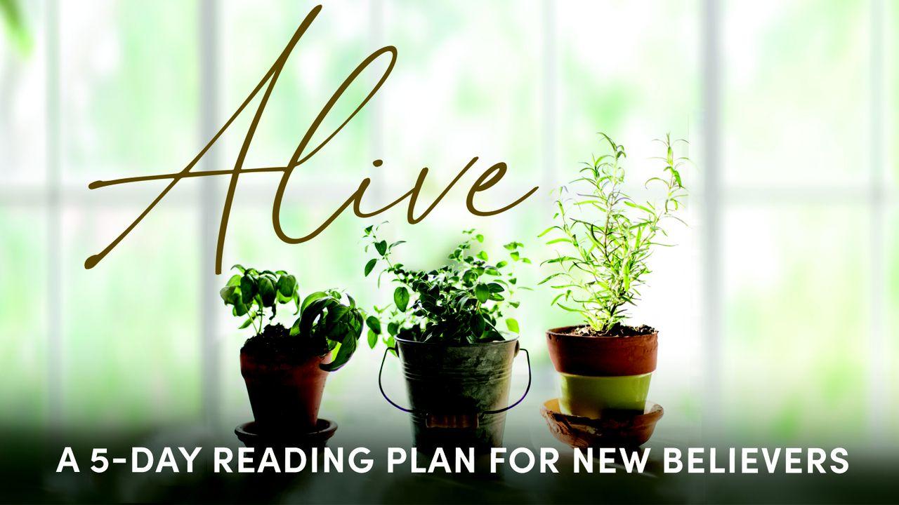 Alive: Grow in Your Relationship With Jesus