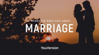7 điều Kinh Thánh nói về hôn nhân