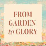 From Garden to Glory: 10 Days Through the Bible's Grand Story