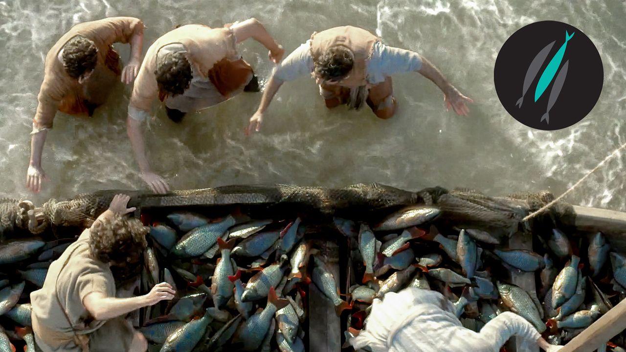 The Chosen + BibleProject | Plan de citire Sezonul 1