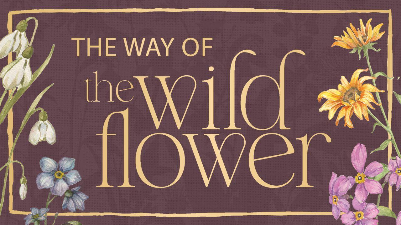 The Way of the Wildflower: Gospel Meditations to Unburden Your Anxious Soul