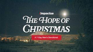 The Hope of Christmas: A Men's Devotional