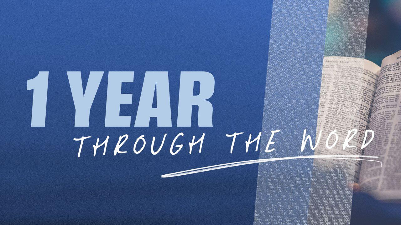 One Year Through the Word