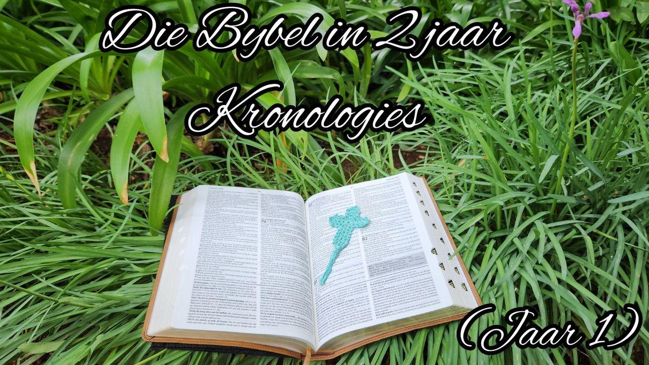 Die Bybel in 2 jaar Kronologies (Jaar 1)