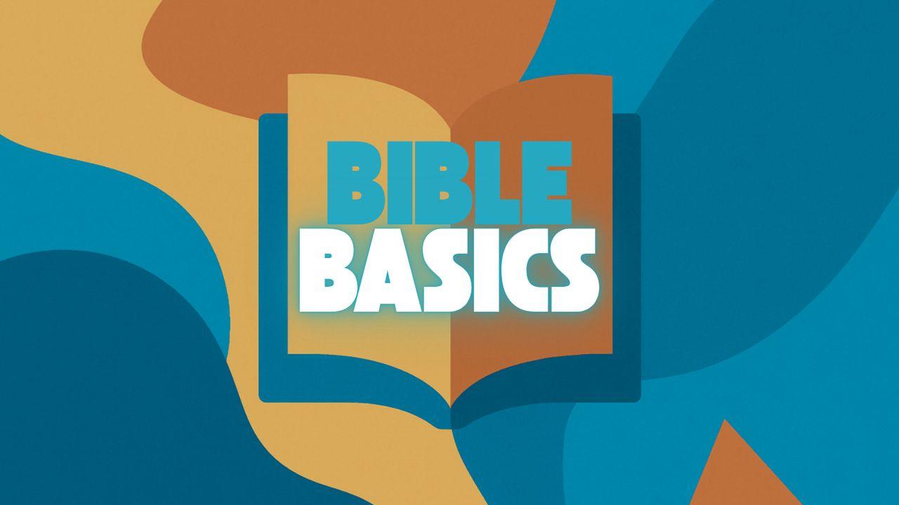 Bible Basics: 7 Days to Loving God’s Word