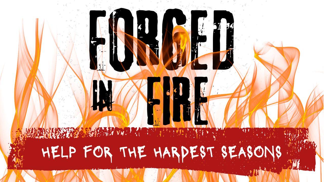 Forged by Fire: Help for Life's Hardest Seasons