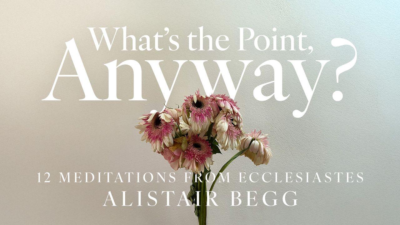 What's the Point, Anyway?