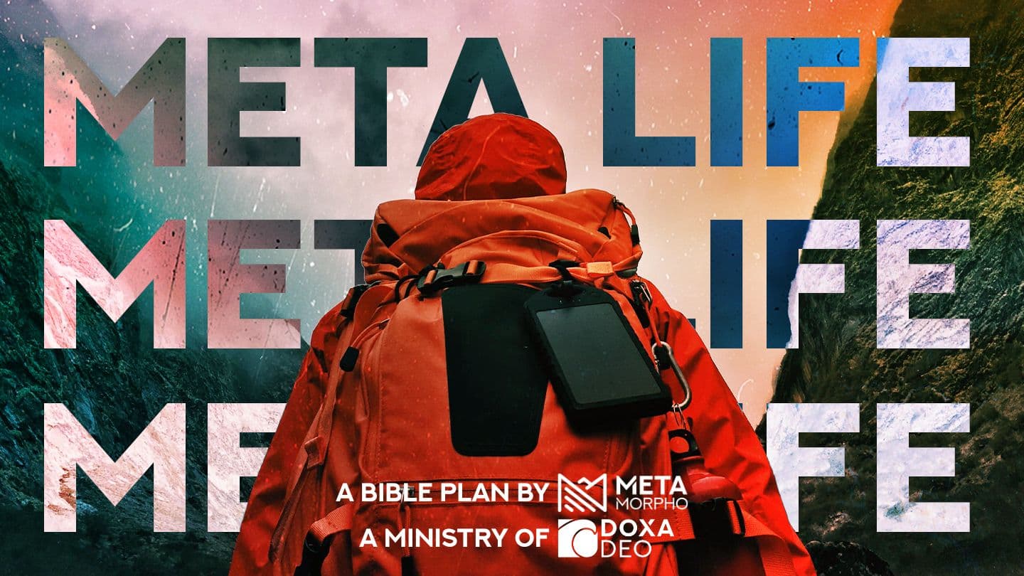 Meta Life | Metamorpho