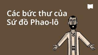 BibleProject | Các bức thư của Sứ đồ Phao-lô