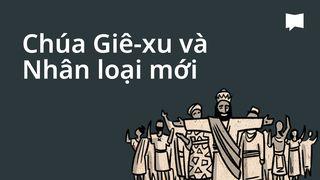 BibleProject | Chúa Giê-xu và Nhân loại mới