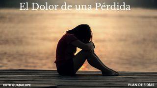 El Dolor de una Pérdida