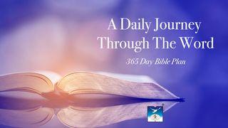 A Daily Journey Through the Word – Bible in One Year