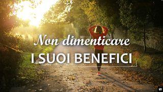 Non Dimenticare I Suoi Benefici