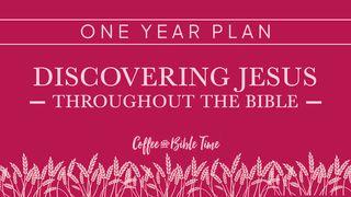 One-Year Bible Reading Plan: Discovering Jesus Throughout the Bible