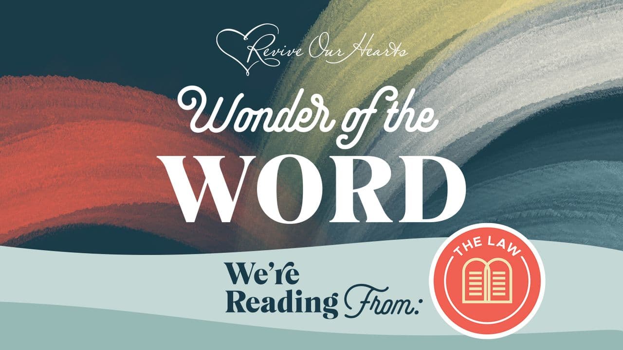 Wonder of the Word: The Law & the Wonder of God's Grace (Vol.1 - Genesis - Deuteronomy)