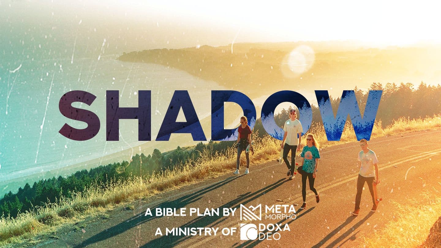 Shadow | Metamorpho