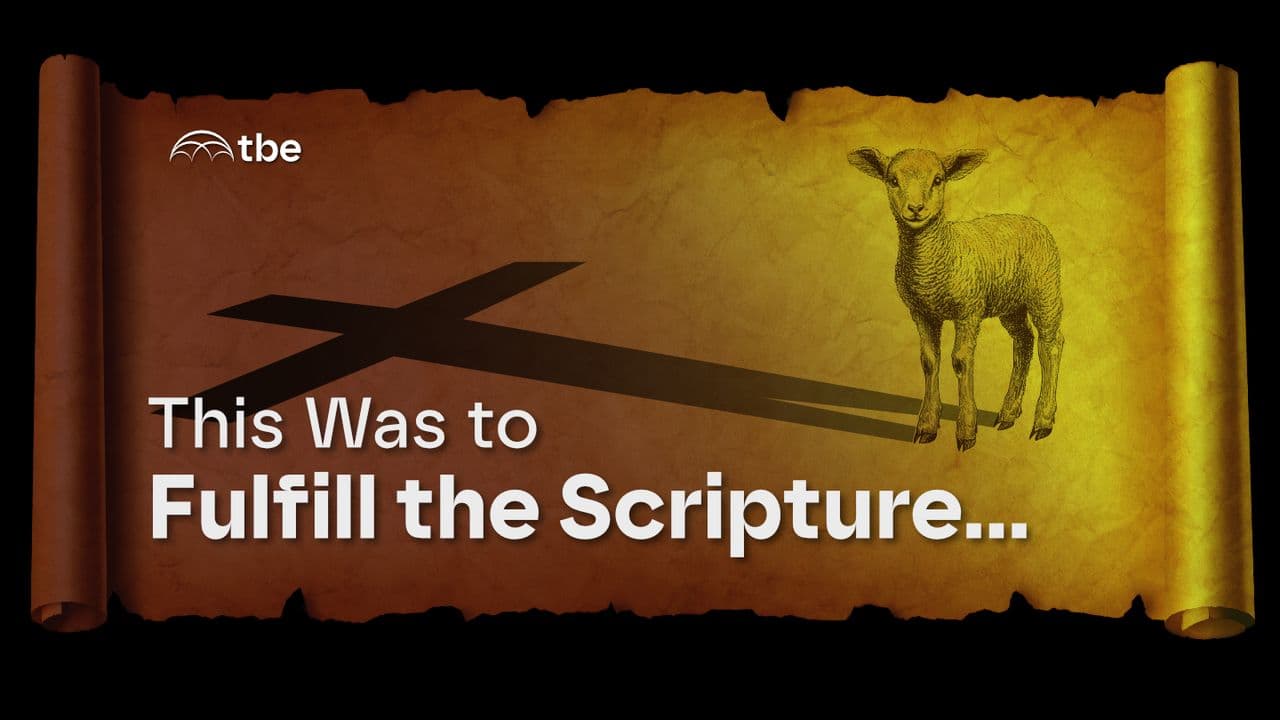 This Was to Fulfill the Scripture Which Says… (The Bible Effect)