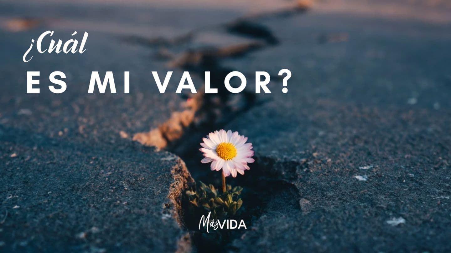 ¿Cuál Es Mi Valor? Mateo 26:14-35 La Biblia: La Palabra de Dios para todos