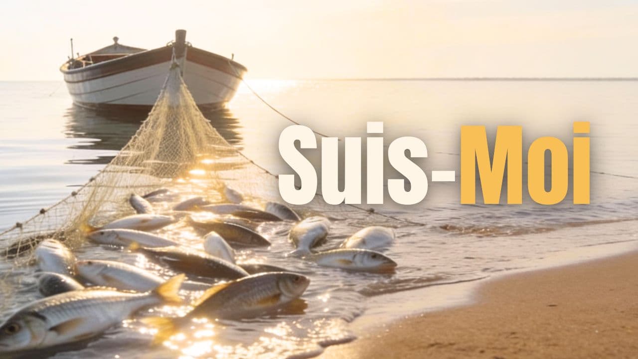 Suis-Moi