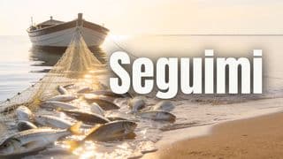 Seguimi