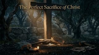 The Perfect Sacrifice of Christ