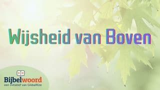 Wijsheid Van Boven